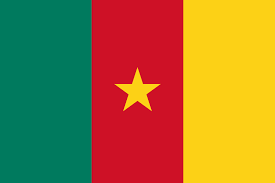  Cameroonian Embassy Contact Details in Nigeria