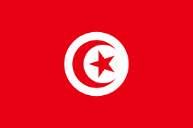 Tunisia Embassy Contact Details in Nigeria