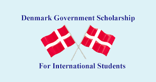 Danish Government Scholarship