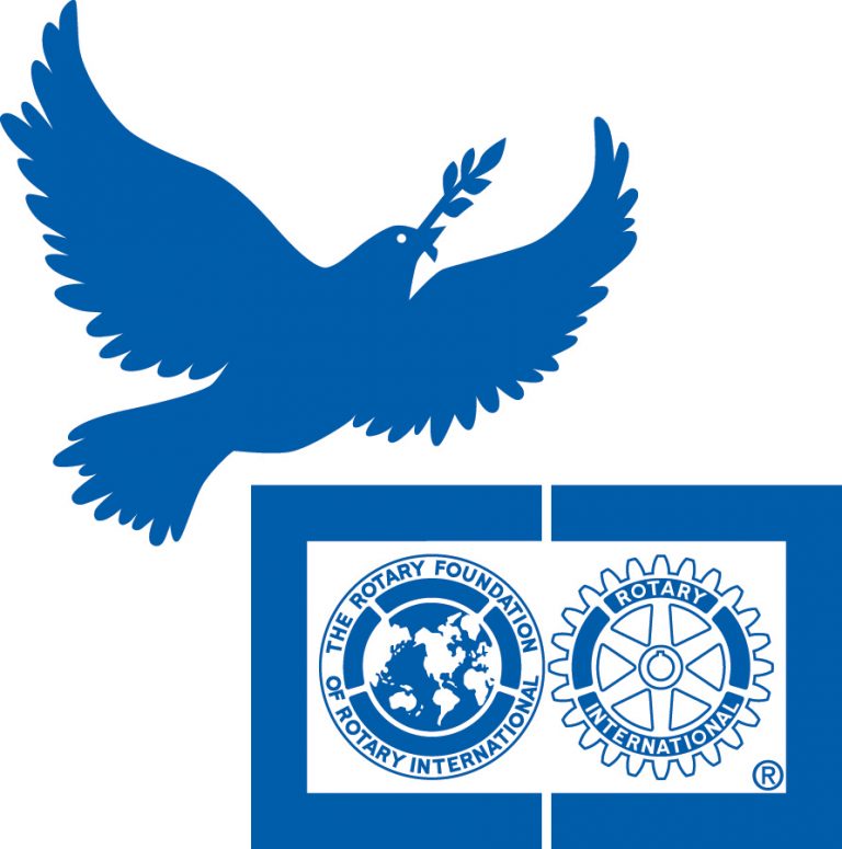 Rotary Peace Fellowship 2020 for Young Professionals