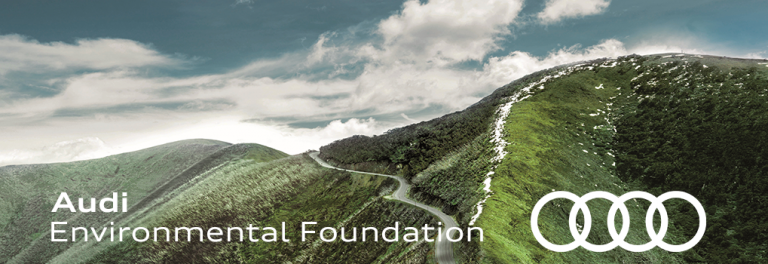 Audi Environmental Foundation Scholarship 2019