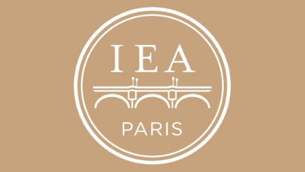 Paris Institute for Advanced Study Research Fellowships