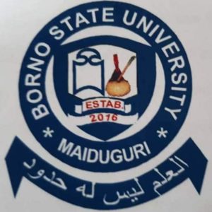 Borno State University Post UTME Admission Form 2019/2020