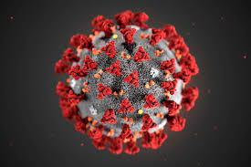 Coronavirus Disease (COVID-19) Pandemic Daily Updates in Nigeria